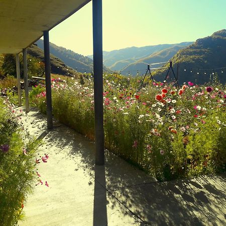 Betegi Guest House Μέστια Εξωτερικό φωτογραφία